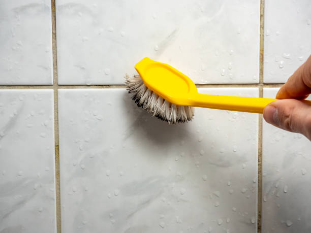Best Mold Removal Near Me  in Pike Creek Valley, DE